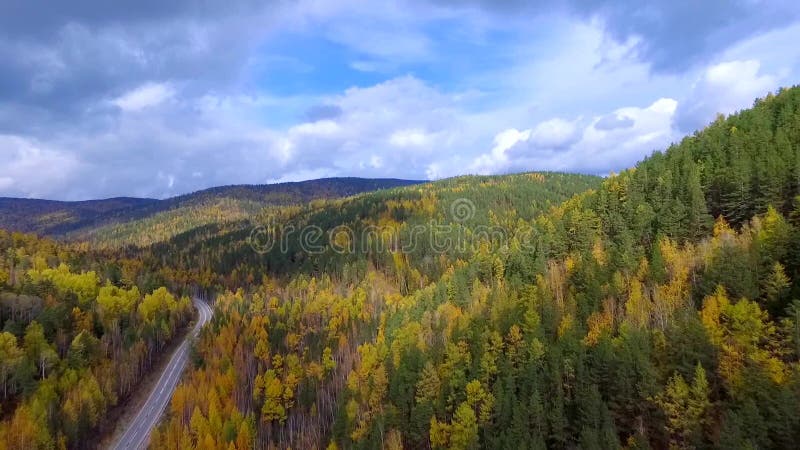 A bird's-eye aerial flight over the road autumn forest. Russia Buryatia