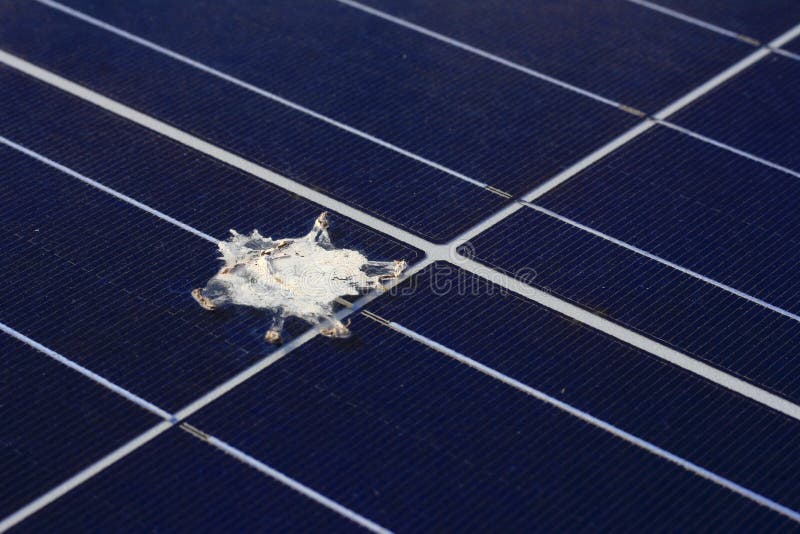 Bird Shit on Solar Panel Surface royalty free stock images