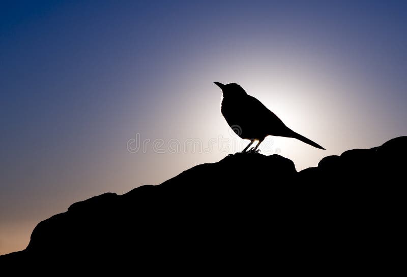 Candle Fire In Heart-shaped Hands Stock Image - Image of heart, skin