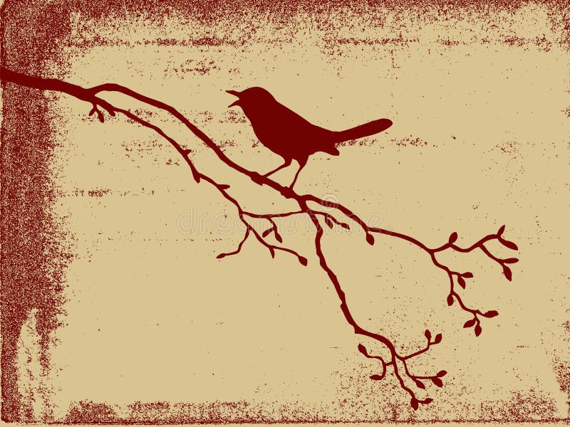 Bird silhouette