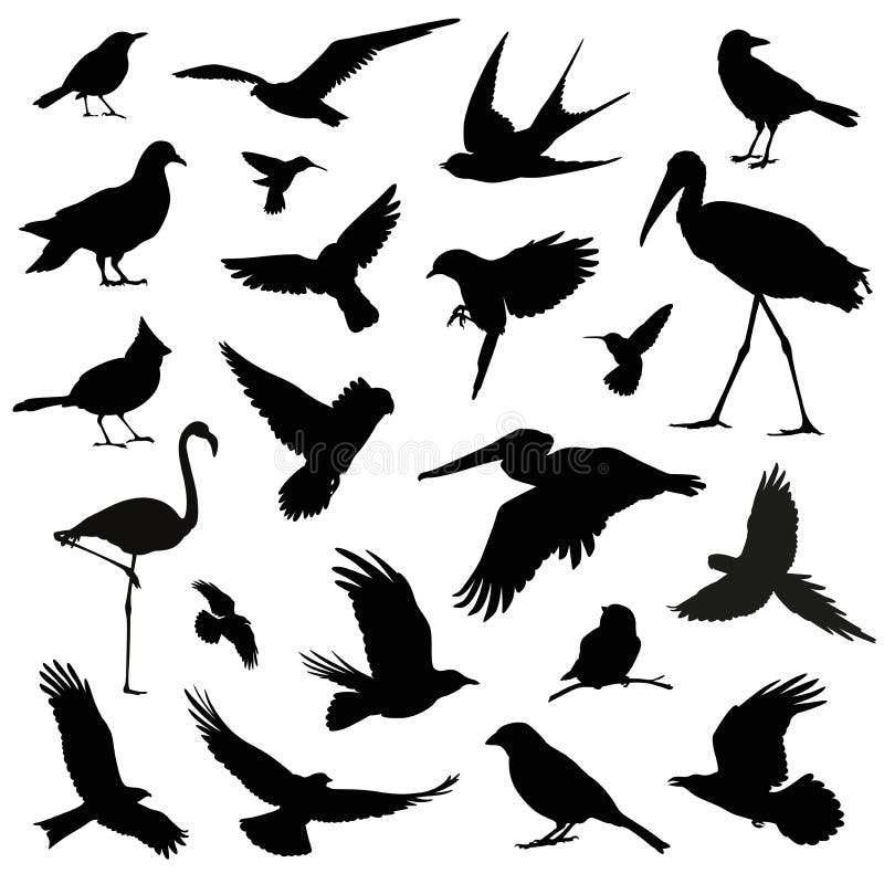 Bird silhouette illustration set