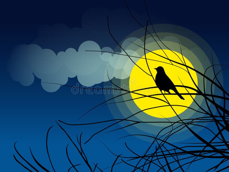 Bird silhouette sitting on a tree branch background of the moonlight