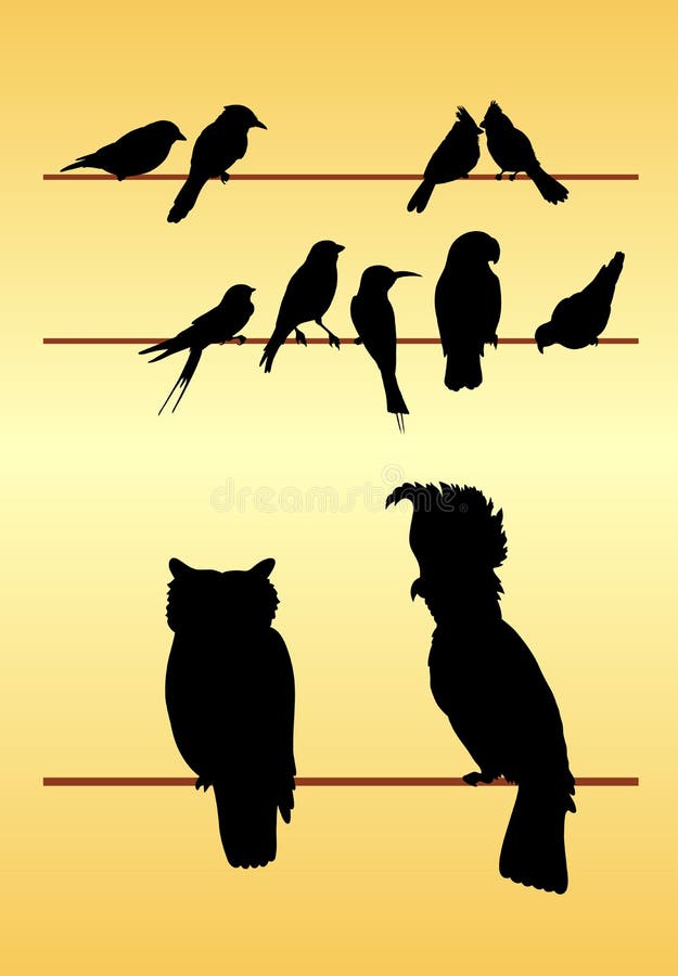 Bird silhouettes