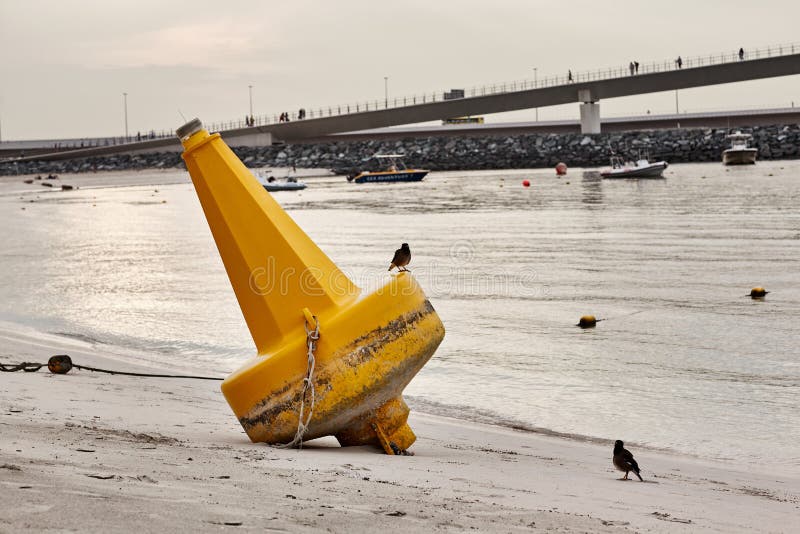 The bird sits on a large yellow buoy lying on the beach at low tide