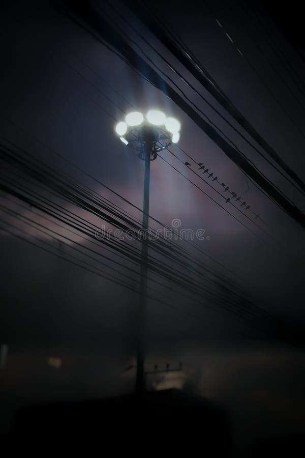 Bird that is sleeping with friends. The little bird is sleeping with a friend On the electric wire and there is the light shining down from the lamp which is stock images Bird that is sleeping with friends. The little bird is sleeping with a friend On the electric wire and there is the light shining down from the lamp which is stock images