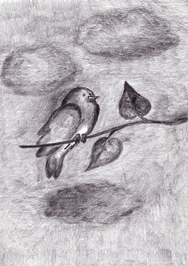 Bird on a tree branch stock illustration. Illustration of cute - 34457674