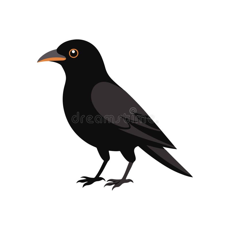 Elegant Black Crow Vector Art stock illustration