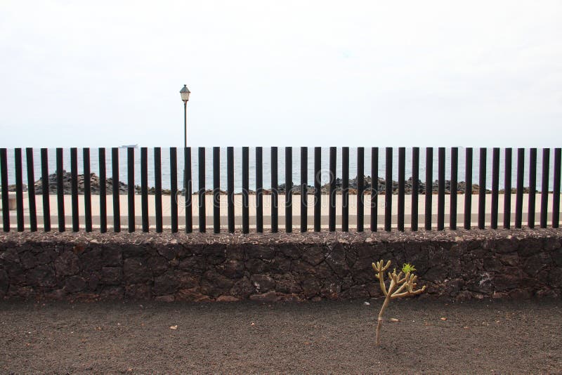 Waterfront promenade sea scenic and wall. Bird on a waterfront promenade sea scenic and blue sky and wall vertical royalty free stock image Waterfront promenade sea scenic and wall. Bird on a waterfront promenade sea scenic and blue sky and wall vertical royalty free stock image