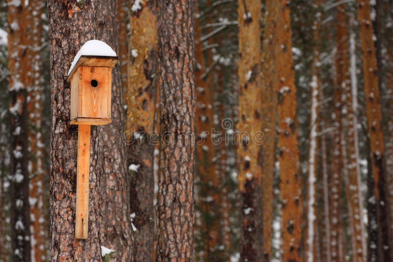 Birdhouse