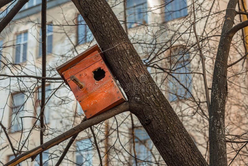 Birdhouse in the city. Wooden birdhouse against the city royalty free stock image