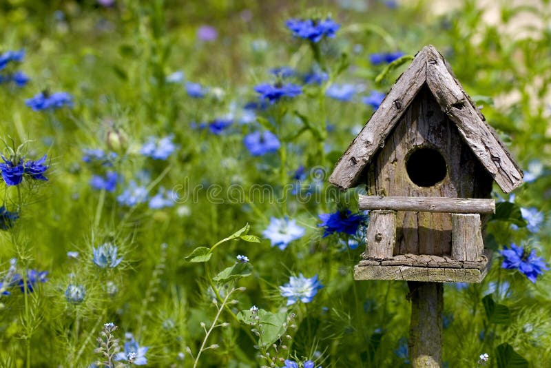 Birdhouse Among the Flowers. A birdhouse nestles among spring flowers Birdhouse Among the Flowers. A birdhouse nestles among spring flowers