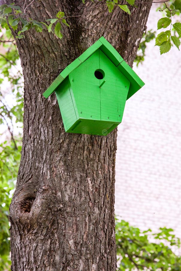 Birdhouse Hanging from a Tree Stock Photo Image of decorate, handmade 63161690