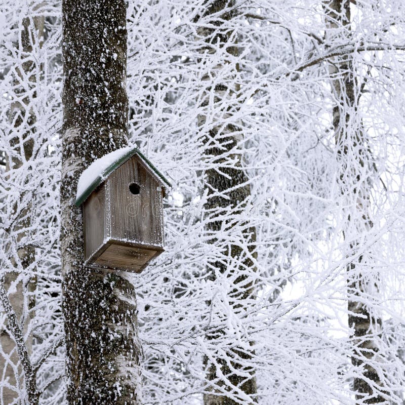 Birdhouse at winter royalty free stock photos Birdhouse at winter royalty free stock photos