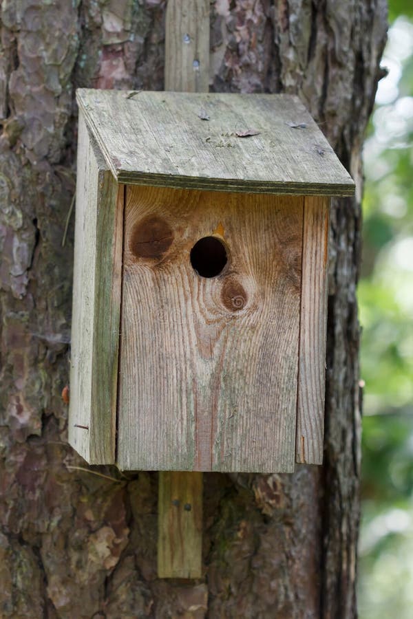 Birdhouse in wood sitting on a tree stock photos