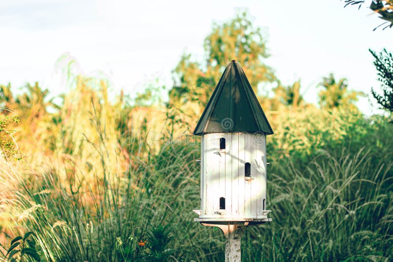 Birdhouses and Bird Feeder. White Wooden Outdoor Garden Birds Wood Nesting House Nest Home in Garden. Garden nature idea