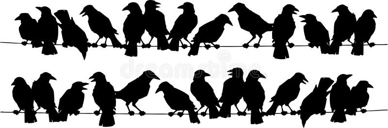 Immagine vettoriale di uccelli, corvi (sagome)