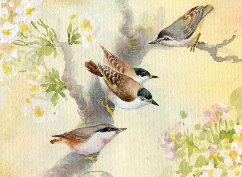 Observación de aves sobre el floreciente árbol de manzana, hermoso acuarela.