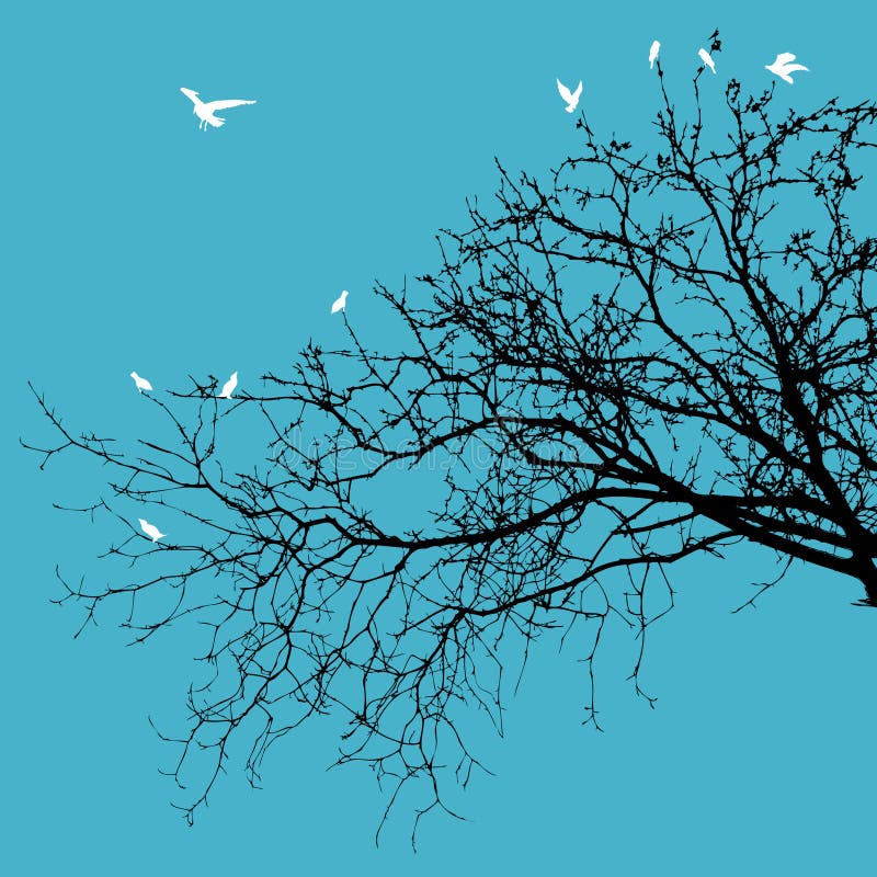 Birds on Branches