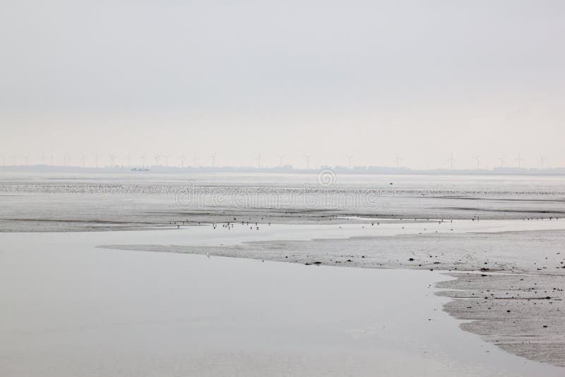 The Dollard area, which borders the Eems estuary, came into existence between 1280 and 1550 approximately. Under the influence of growing environmental awareness, it was decided in 1975 not to reclaim any more of the Dollard and to designate it a nature reserve. The Dollard consists of mud flats, sandbanks, channels and salt marshes. It is one of Europeâ€™s last brackish water tidal areas. In Nieuwe Statenzijl, at the edge of the Netherlands, there stands a bird watching hut, the â€˜Kiekkaasteâ€™. There you can watch the birds on the salt marshes and mud flats undisturbed. The Dollard area, which borders the Eems estuary, came into existence between 1280 and 1550 approximately. Under the influence of growing environmental awareness, it was decided in 1975 not to reclaim any more of the Dollard and to designate it a nature reserve. The Dollard consists of mud flats, sandbanks, channels and salt marshes. It is one of Europeâ€™s last brackish water tidal areas. In Nieuwe Statenzijl, at the edge of the Netherlands, there stands a bird watching hut, the â€˜Kiekkaasteâ€™. There you can watch the birds on the salt marshes and mud flats undisturbed.