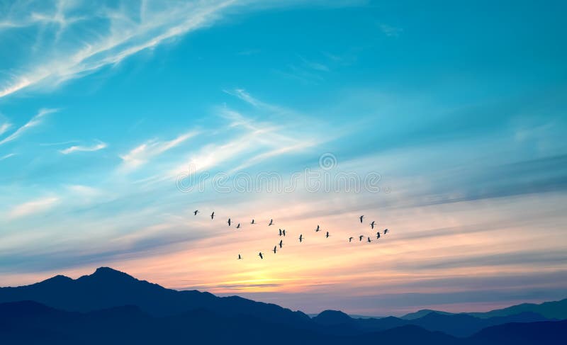 Birds in flight above the mountains