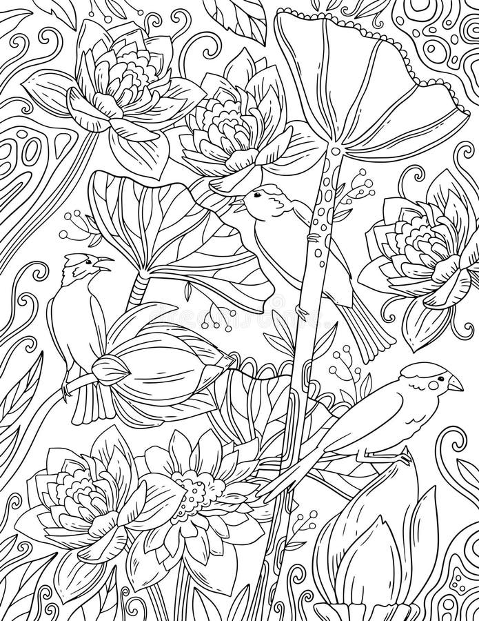 Birds and Flowers Coloring Page for Adults. Beautiful Sketch ...