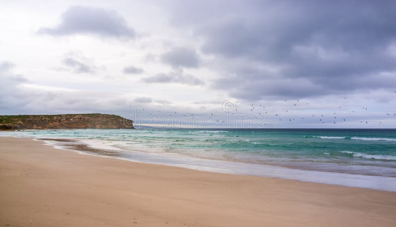 Birds flying over ocean at Pennington Bay in stormy weather. Kan