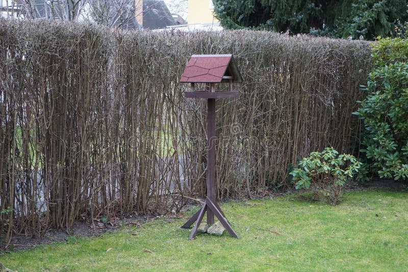 Bird Feeder in the Spring. Berlin, Germany Stock Image Image of