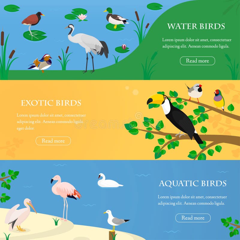 Bird Habitats Stock Illustrations 39 Bird Habitats Stock Illustrations, Vectors & Clipart