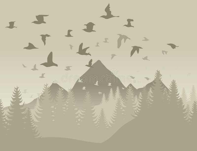 Birds in mountains