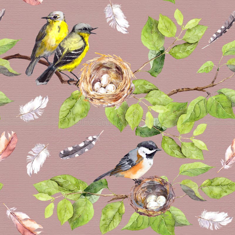 Birds, nest on branch. Seamless repeating pattern. Watercolor royalty free illustration Birds, nest on branch. Seamless repeating pattern. Watercolor royalty free illustration