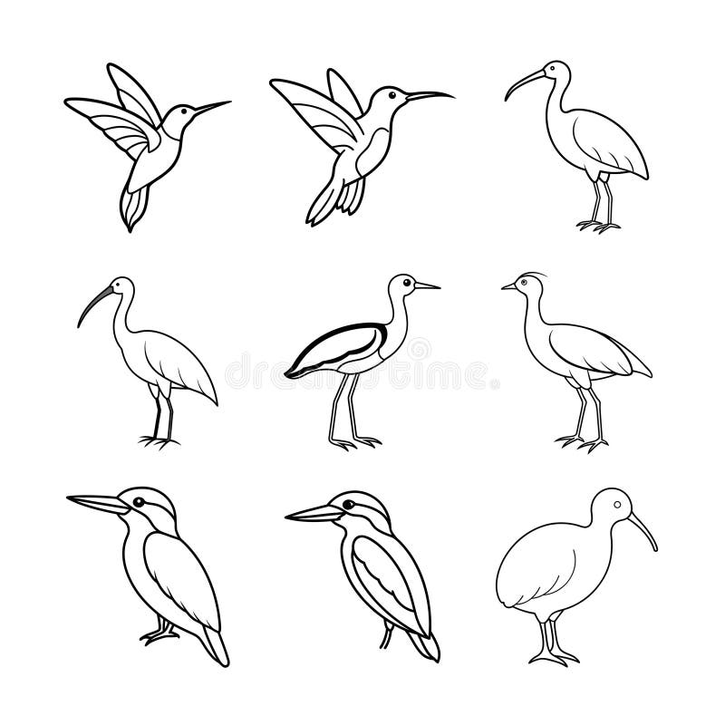 Birds outline vector illustration collection in black and white style drawing stock illustration