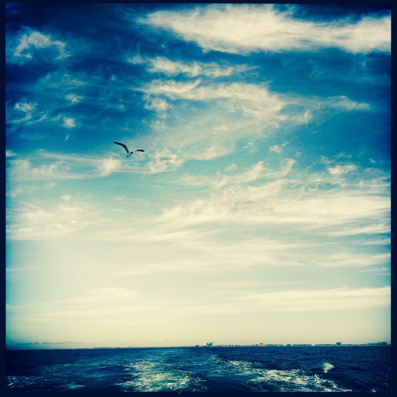 My Image 3