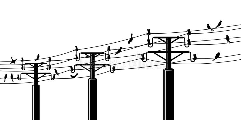 Birds on powerlines