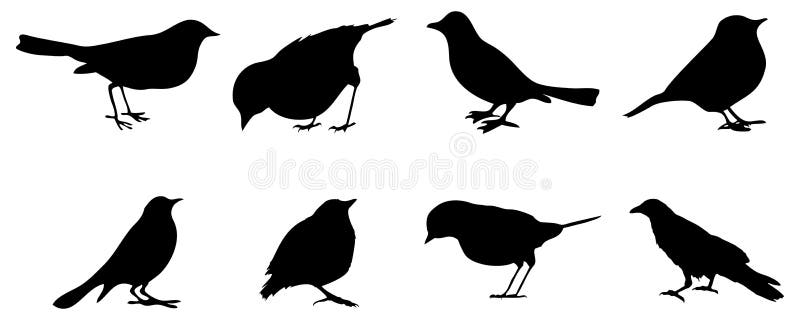8 Birds silhouettes on black.
