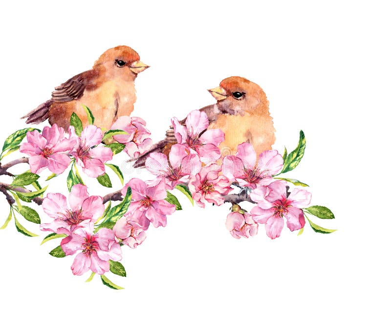 Birds sitting on apple tree branch raster illustration