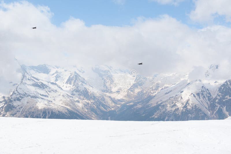 2 birds in the sky over the snowy slopes of the Caucasus mountains in winter