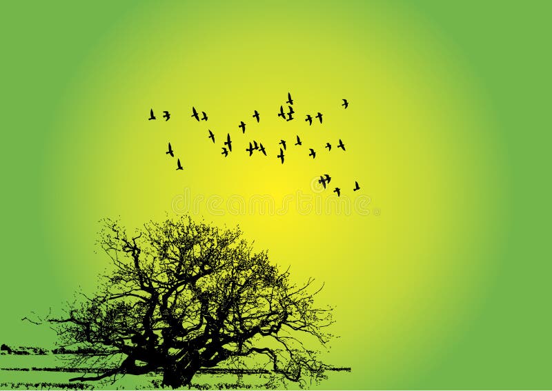 Birds with tree