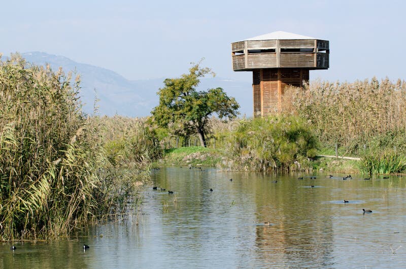 Birds watching tower