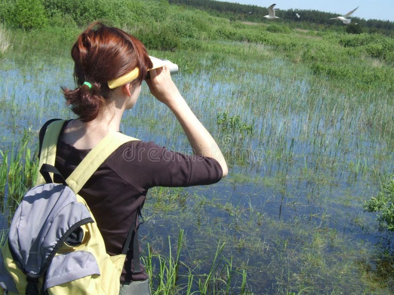 Birdwatching auf dem Sumpf