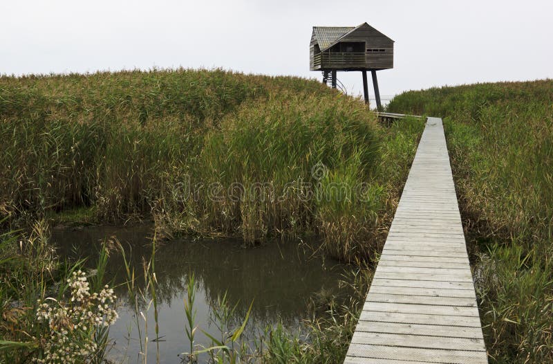 In Nieuwe Statenzijl, at the edge of the Netherlands, there stands a bird watching hut, the Â‘KiekkaasteÂ’. There you can watch the birds on the Dollard salt marshes and mud flats undisturbed. Under the influence of growing environmental awareness, it was decided in 1975 not to reclaim any more of the Dollard and to designate it a nature reserve. In Nieuwe Statenzijl, at the edge of the Netherlands, there stands a bird watching hut, the Â‘KiekkaasteÂ’. There you can watch the birds on the Dollard salt marshes and mud flats undisturbed. Under the influence of growing environmental awareness, it was decided in 1975 not to reclaim any more of the Dollard and to designate it a nature reserve.