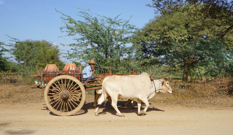 Birmanischer Mannreitochsenwarenkorb an der alten Stadt in Bagan lizenzfreie stockbilder Birmanischer Mannreitochsenwarenkorb an der alten Stadt in Bagan lizenzfreie stockbilder