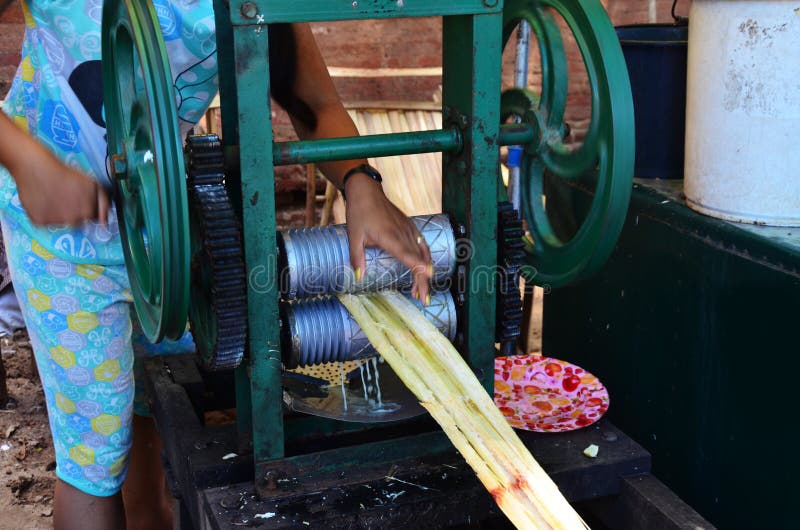 Sugarcane juice is very popular in Myanmar (Burma) and widely available across the country. It is called kyan yae in Burmese. Sugarcane juice is obtained by crushing peeled sugar cane in a mill. It can be a hand-cranked machine, or powered. It is served, often cold, and sometimes with other ingredients, such as a squeeze of lemon or lime (in Brazil, Colombia, Cuba, Pakistan), pineapple (Brazil), passionfruit, ginger (India, Zanzibar) or ice. In Pakistan it can be served with black salt or mint. Htilominlo Temple is a Buddhist temple located in Bagan (formerly Pagan), in Burma/Myanmar, built during the reign of King Htilominlo (also known as Nandaungmya) in 1211. The temple is three stories tall, with a height of 46 metres (150 feet), and built with red brick. It is also known for its elaborate plaster moldings. On the first floor of the temple, there are four Buddhas that face each direction. The temple was damaged in the 1975 earthquake and subsequently repaired. Sugarcane juice is very popular in Myanmar (Burma) and widely available across the country. It is called kyan yae in Burmese. Sugarcane juice is obtained by crushing peeled sugar cane in a mill. It can be a hand-cranked machine, or powered. It is served, often cold, and sometimes with other ingredients, such as a squeeze of lemon or lime (in Brazil, Colombia, Cuba, Pakistan), pineapple (Brazil), passionfruit, ginger (India, Zanzibar) or ice. In Pakistan it can be served with black salt or mint. Htilominlo Temple is a Buddhist temple located in Bagan (formerly Pagan), in Burma/Myanmar, built during the reign of King Htilominlo (also known as Nandaungmya) in 1211. The temple is three stories tall, with a height of 46 metres (150 feet), and built with red brick. It is also known for its elaborate plaster moldings. On the first floor of the temple, there are four Buddhas that face each direction. The temple was damaged in the 1975 earthquake and subsequently repaired.