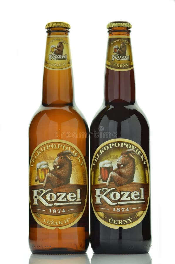 Birra di Velkopopovicky Kozel isolata su fondo bianco fotografia stock Birra di Velkopopovicky Kozel isolata su fondo bianco fotografia stock