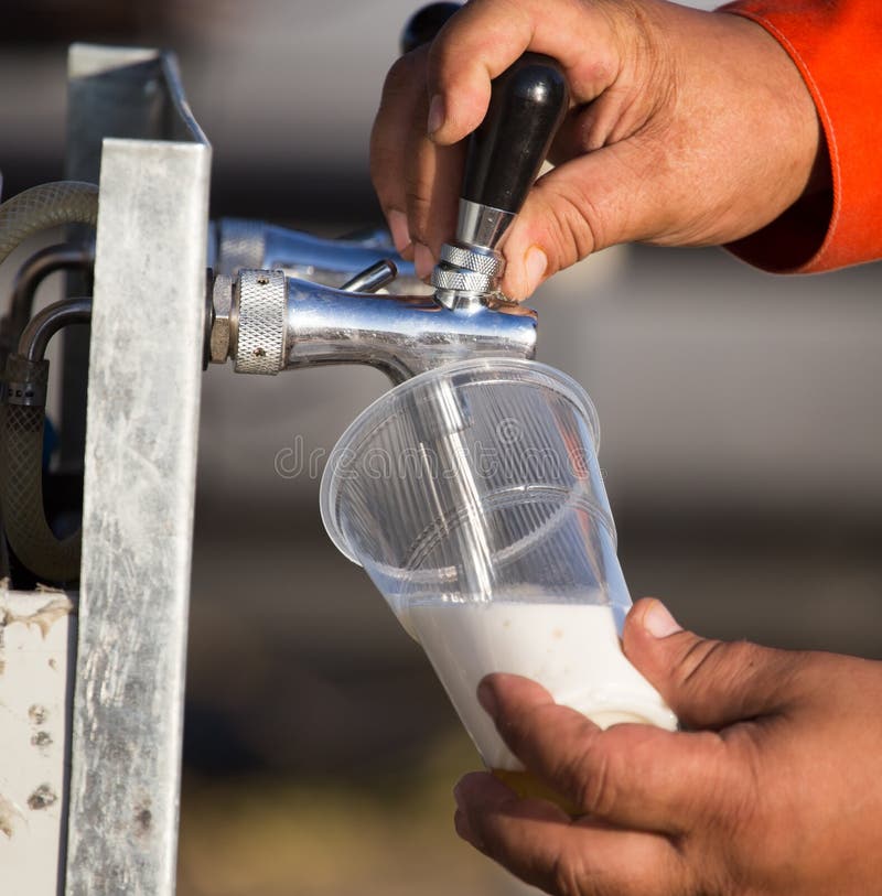 Birra fresca in una tazza di plastica nella mano fotografia stock libera da diritti Birra fresca in una tazza di plastica nella mano fotografia stock libera da diritti