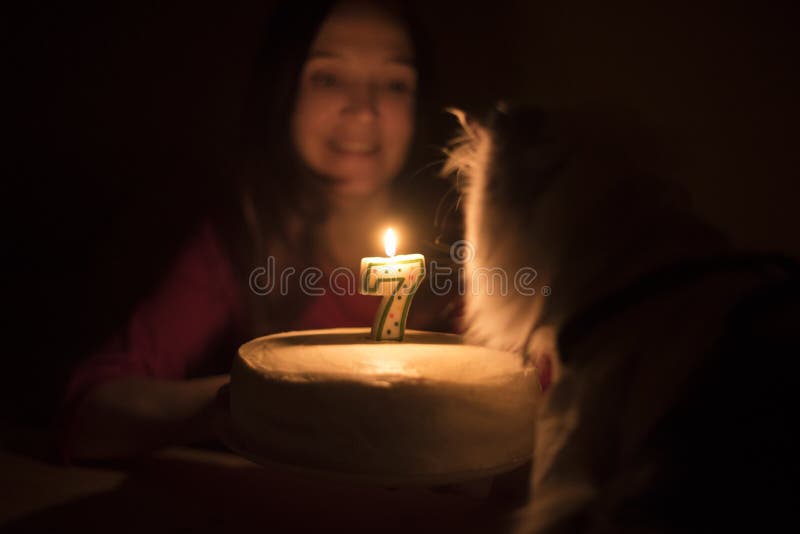Birthday Cake with a Candle for a Cat Stock Image Image of loyal