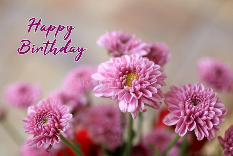 Beautiful Bouquet of Roses on a Window with Text Happy Birthday Stock Photo  - Image of fresh, bloom: 122130044