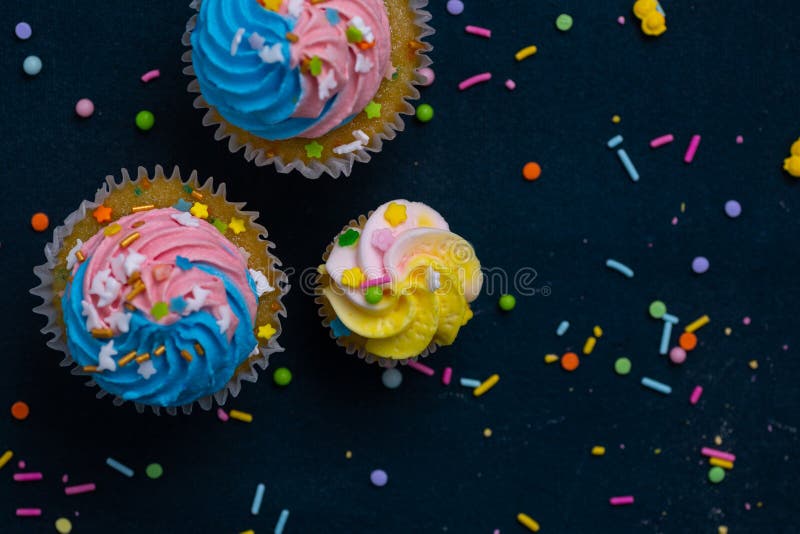 Birthday Cupcake with Sprinkles Stock Photo Image of baked, frosting 221520040