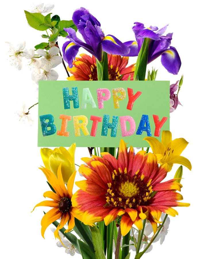 Birthday Greeting Card with Flowers Stock Image Image of green
