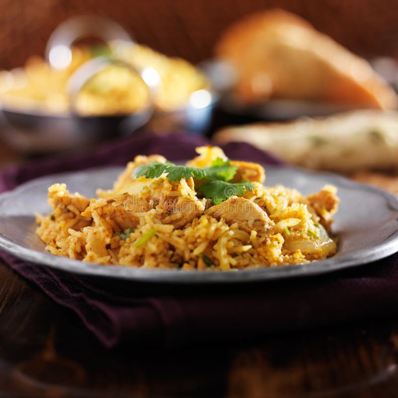 Biryani κοτόπουλου στο μεταλλικό πιάτο στοκ φωτογραφίες με δικαίωμα ελεύθερης χρήσης