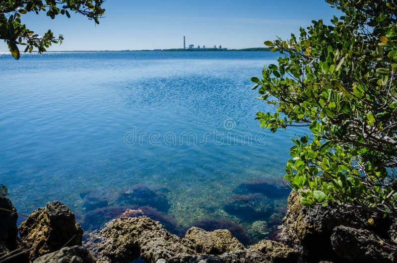 View of Turkey Point Power Station from the shoreline at Biscayne National Park in the northern Florida Keys. Dolphins, turtles and pelicans live in Biscayne Bay Lagoon. View of Turkey Point Power Station from the shoreline at Biscayne National Park in the northern Florida Keys. Dolphins, turtles and pelicans live in Biscayne Bay Lagoon.